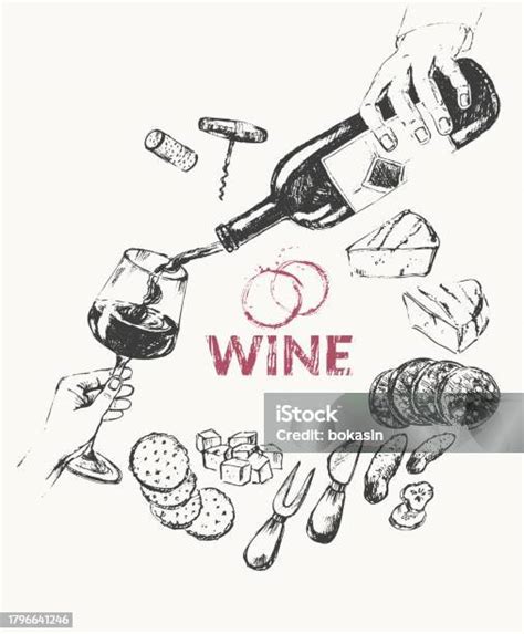 Hand Drawn Wine Illustration Set Stock Illustration Download Image