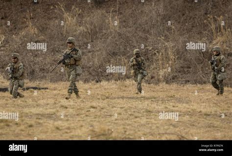 Us Marines With 3rd Battalion 8th Marine Regiment Lima Company