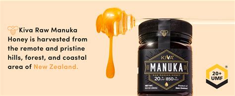 Kiva Raw Manuka Honey Certified UMF 20 MGO 830 New Zealand 250