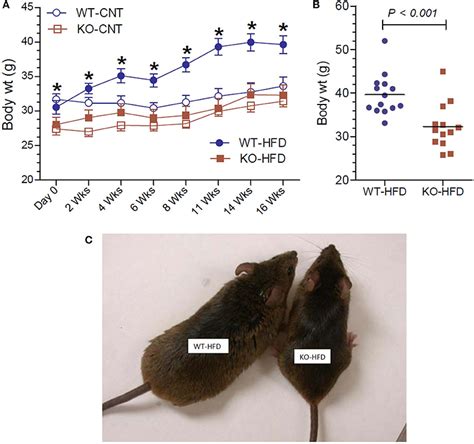 Frontiers P2y2 Receptor Promotes High Fat Diet Induced Obesity