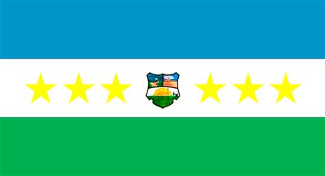 Banderas Locales Municipales Y Parroquiales Venezolanas Banderas