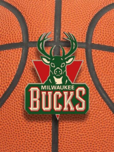 Milwaukee Bucks Bucks  Milwaukee Bucks Bucks Go Bucks Discover