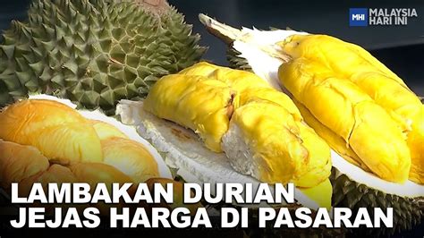 Lambakan Durian Jejas Harga Di Pasaran MHI 10 Jun 2023 YouTube