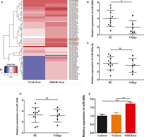 Expression Levels Of MiR200c In Exosomes From NHEK And VLK A Heat