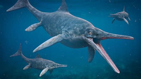 Ichthyosaurus-Bilder: Stock-Fotos & -Videos. | Adobe Stock