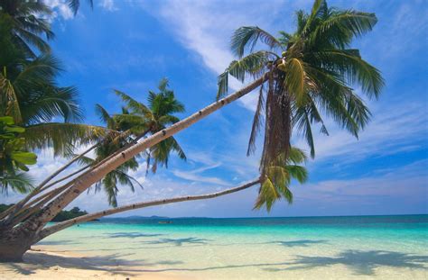 Landscape Sea Bay Nature Shore Sand Photography Beach Blue