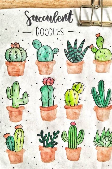 25 Best Succulent Cactus Doodle Ideas For Bujo Addicts Crazy Laura