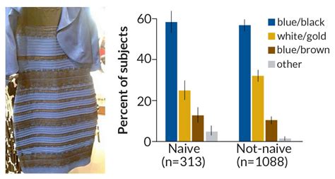 The Dress Divided The Internet But Its Really About Subtraction