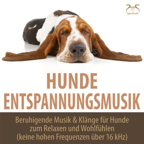 Hunde Entspannungsmusik Beruhigende Musik Klänge für Hunde zum