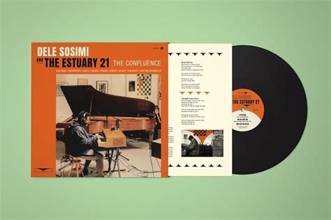 DELE SOSIMI THE ESTUARY 21 The Confluence レコード通販 JUNGLEEXOTICA