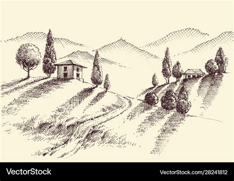 Crops and hills hand drawing farm property sketch Vector Image