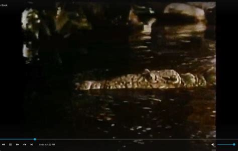 Great YTS.lt Alternatives: Top Torrent Search Engines in 2025 ...