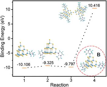 Competitive Coordination And Lewis Base Interactions Of Amines In