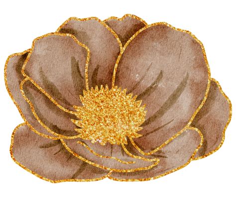 Flower With Gold Watercolor 10231943 PNG