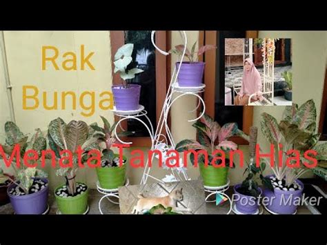 Menata Tanaman Hias Di Teras YouTube