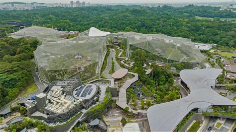 Bird Paradise Set To Open Up In Singapore Travel Turtle