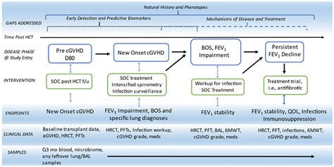 National Institutes Of Health Consensus Development Project On Criteria