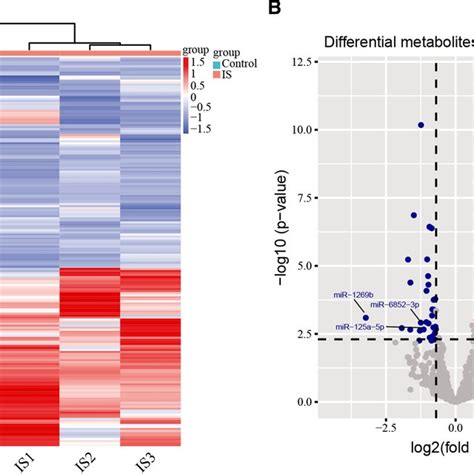 Rna Sequencing Results A Heat Map Of Differential Mirs Expression By Download Scientific