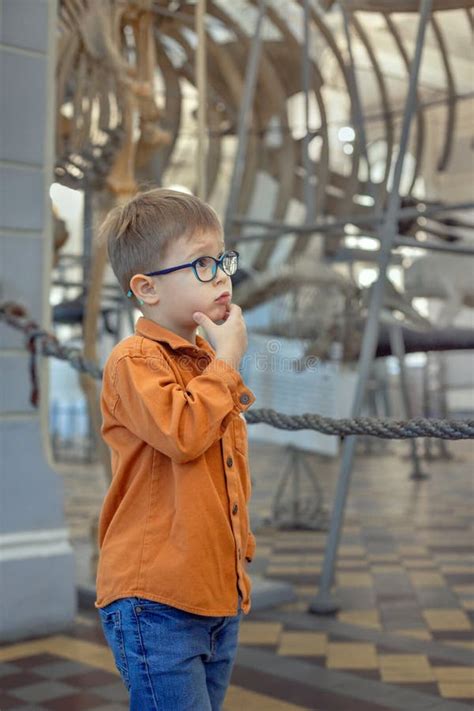 Crian A No Museu De Hist Ria Natural Olhando Para O Esqueleto De Um