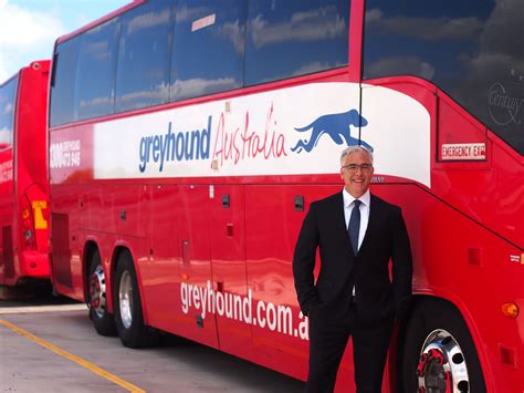 Dan Smith appointed CEO of Greyhound Australia | Greyhound Australia