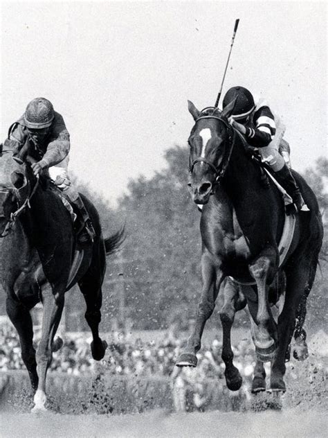 Countdown To The Kentucky Derby Remembering 1978 Triple Crown Winner