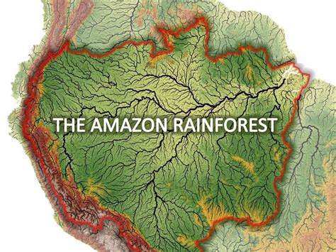 Ppt The Amazon Rainforest Powerpoint Presentation Free Download Id