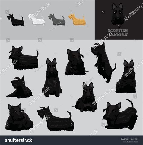 Dog Scottish Terrier Cartoon Vector Illustration Stock Vector Royalty