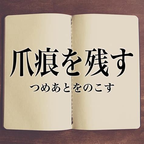 「爪痕を残す」の意味・読み方【使い方や例文】 Meaningbook