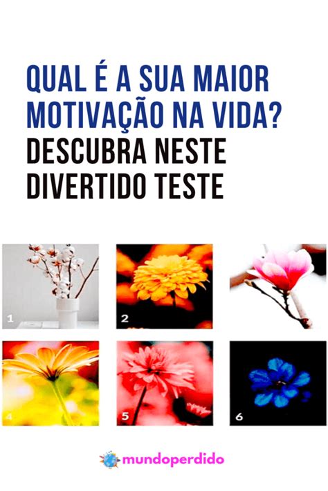 Qual é a sua maior motivação na vida Descubra neste divertido teste