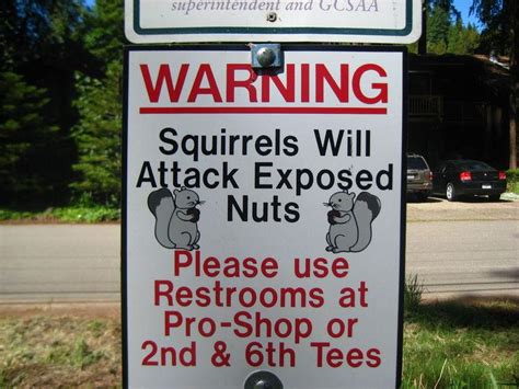 Funniest Signs From Around The World