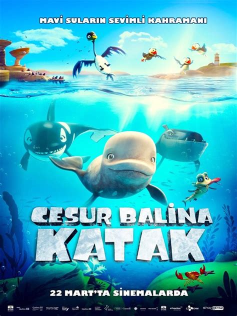 Katak The Brave Beluga Kino Mediteran