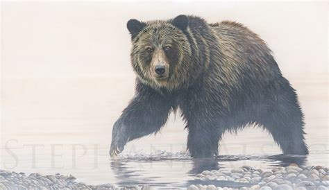 Dans La Brume Tableau Sur Toile D Un Ours Grizzly En Peinture L Huile