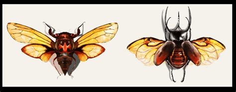 Artstation Insect Study