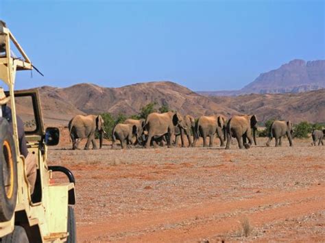 Elephant conservation vacations & projects - Responsible Travel