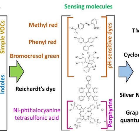 Schematic Representation Of Compounds Tested During The Screening Of