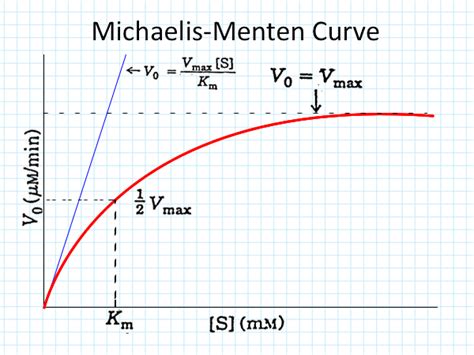 Solved Michaelis Menten Curve Evo Vmax S Vo Vmax Chegg