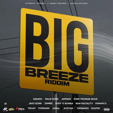 Big Breeze Riddim Full Promo Attomatic Records