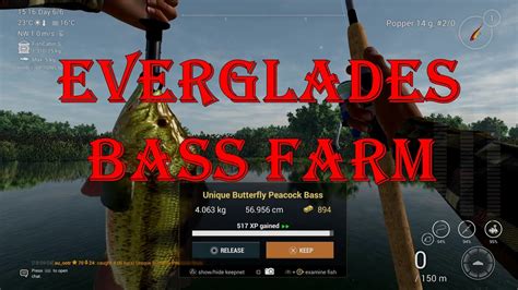 Fishing Planet Everglades Bass Farm Lvl 18 Guide YouTube