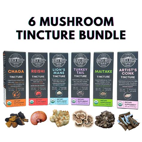 Ultimate Mushroom Tincture Bundle Wellness Collection Birch Boys Inc