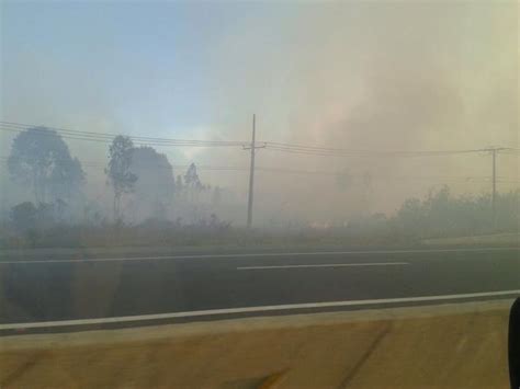 Por Incendio Forestal Cercano A Lugares Habitados Declaran Alerta