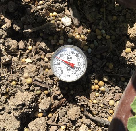 Soil Temperature Soil Thermometer Mink Hollow Farm