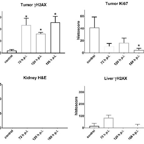 Biodistribution Of A Ac Ac Mcp M Alb Psma And B