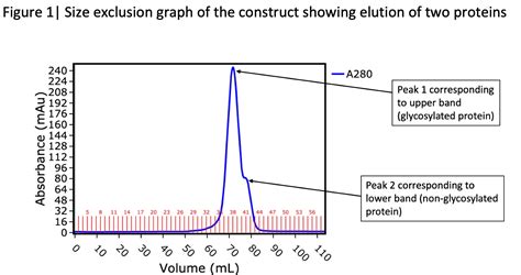 Using Peptide Mapping To Reveal Glycosylated And Non-Glycosylated ...