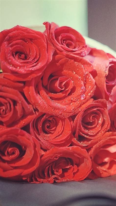 Wallpaper Red roses, bouquet, water drops 3840x2160 UHD 4K Picture, Image