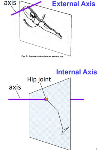 Angular Kinematics And Angular Kinetics Flashcards Quizlet