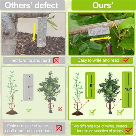 Tiquettes De Plantes M Talliques Pour Une Gestion Efficace Du Jardin