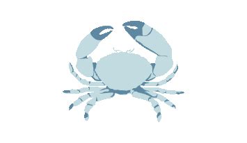 Florida Stone Crab | FishChoice