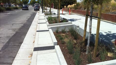 stormwater tree pits sc website