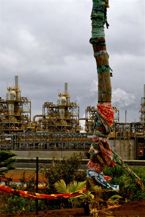 Bois Tabou Outside The Entrance To The Vale New Caledonia Nickel