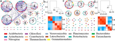 Soil Bacterial Molecular Ecological Networks And Modular Eigengene